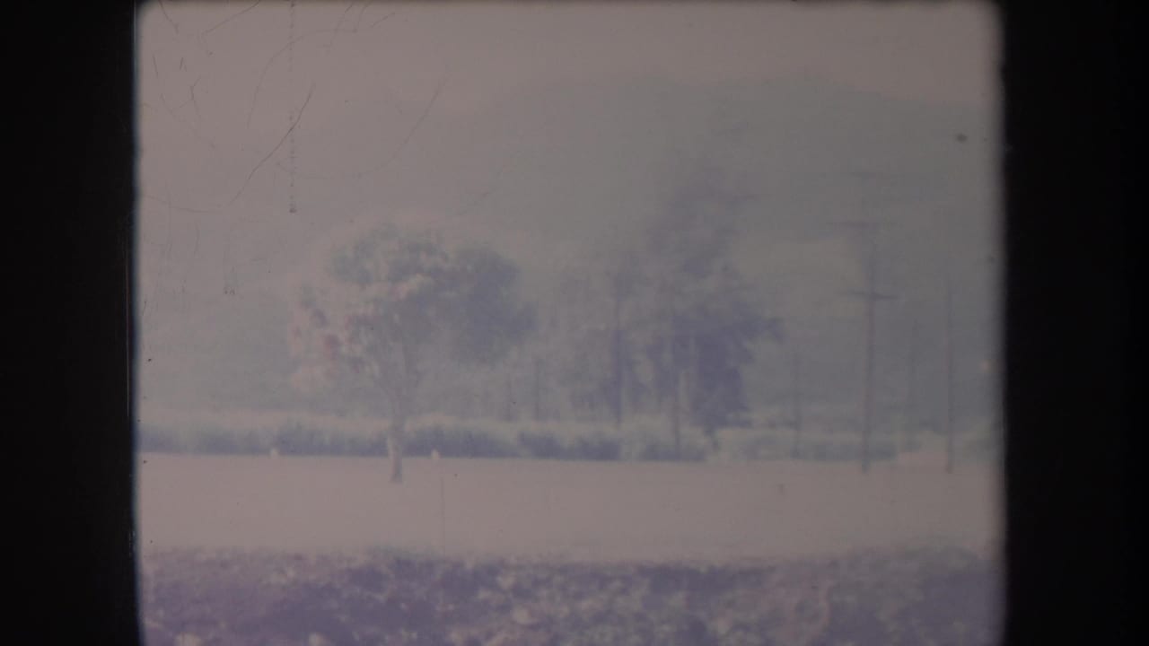 1969 Hawaii 8mm frame showing an open field, trees, shrubs, utility poles, and hazy mountains beyond.