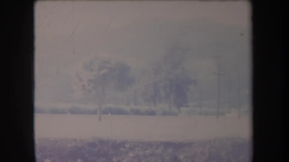 1969 Hawaii 8mm frame showing an open field, trees, shrubs, utility poles, and hazy mountains beyond.