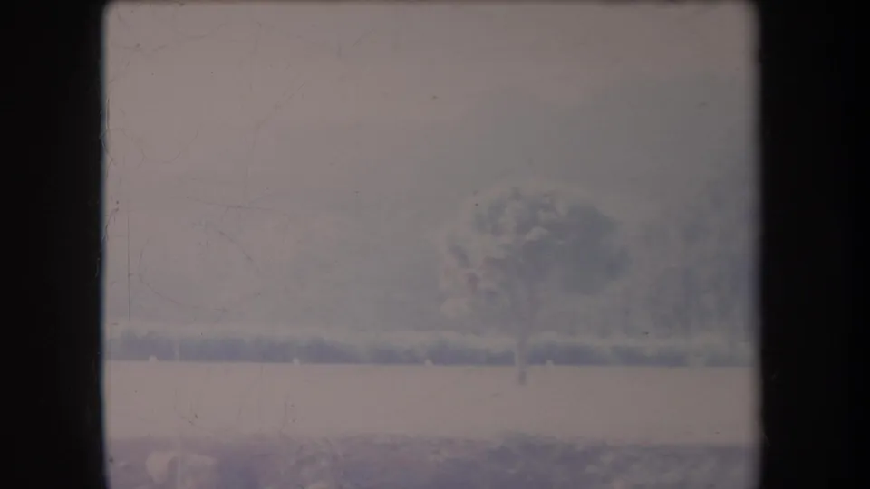 1969 Hawaii 8mm frame with a pale open field, a tree near the horizon, shrubs, utility poles, and hazy hills.