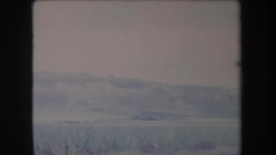 1969 Hawaii home-movie frame with soft, hazy hills, pale sky and low vegetation in a faded 8mm landscape view.