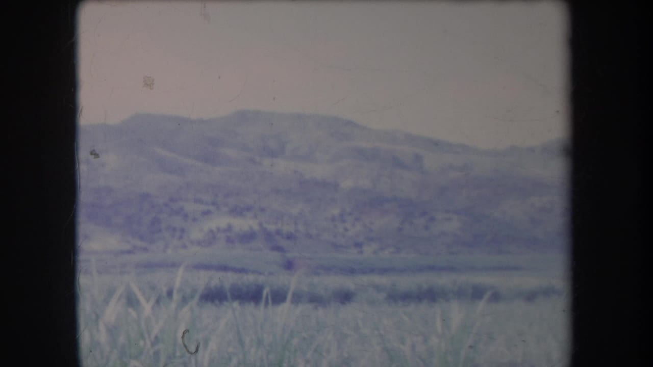 1969 Hawaii home-movie frame with rolling hills, low open land, and tall foreground grass in soft blue-purple tones.