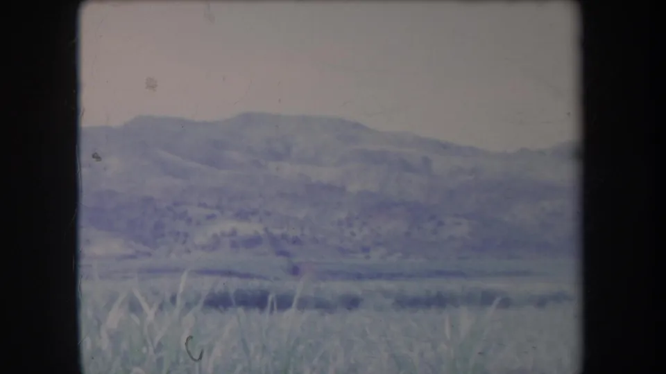 1969 Hawaii home-movie frame with rolling hills, low open land, and tall foreground grass in soft blue-purple tones.