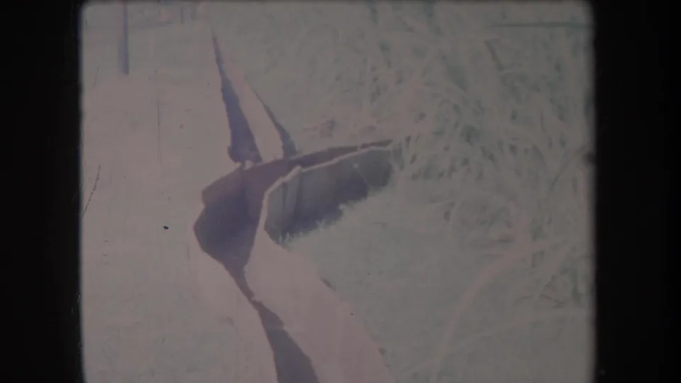 1969 Hawaii 8mm frame showing a close, soft-focus view of tall grass and a dark tool-like shape near the ground.