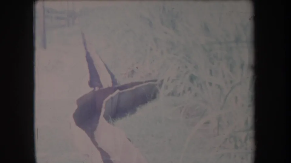 1969 Hawaii 8mm frame showing tall grass and a dark tool-like form at the edge of a close rural view.