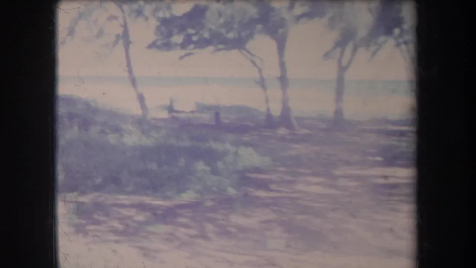 1969 Hawaii 8mm frame showing trees along a coastal edge, open ground in front, and the sea horizon beyond.