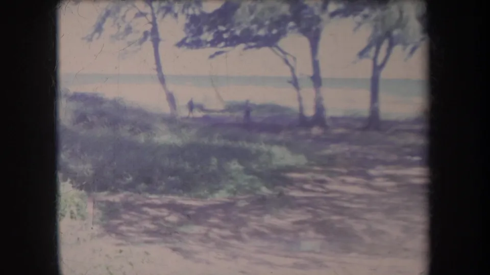 1969 Hawaii home-movie frame of shoreline trees and low vegetation facing a calm sea horizon, with visible 8mm wear.