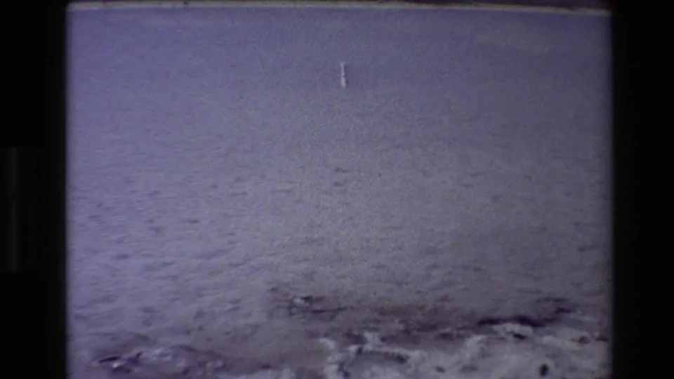 The final frame shows mostly calm water and sandy shoreline texture, with the bird no longer clearly visible.