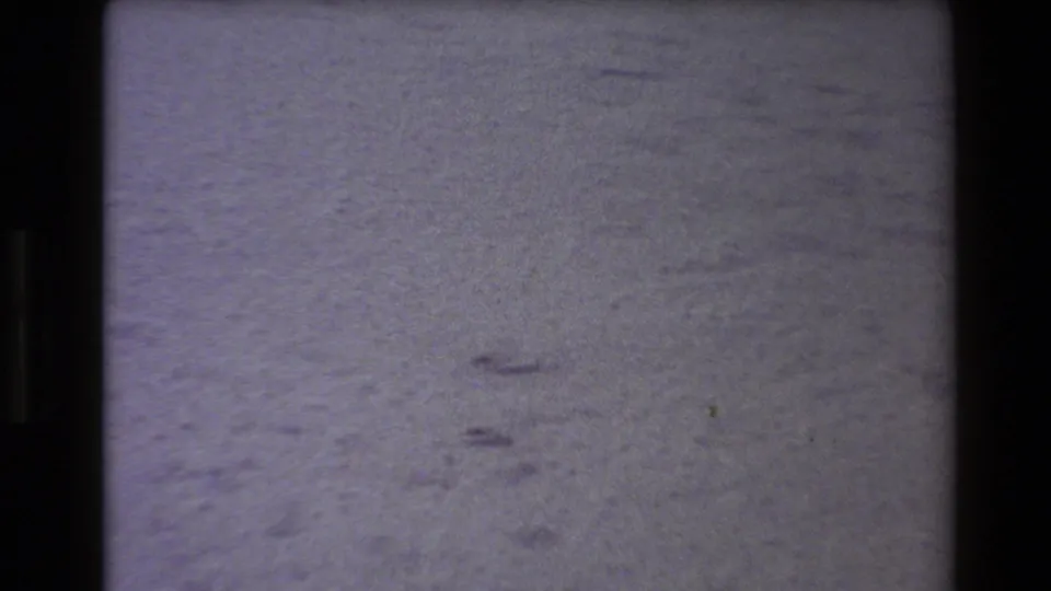 1980 Western USA 8mm frame showing textured snow or frost, scattered small marks, and pronounced dark projector-frame borders.