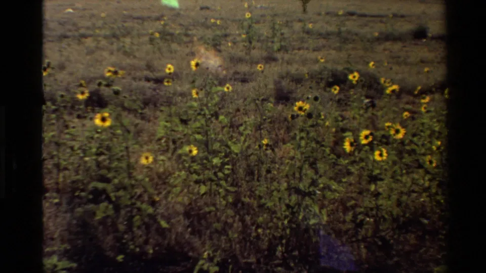 1980s 8mm travel frame with yellow wildflowers in front of an industrial smokestack, buildings, dry hills, and mountains.