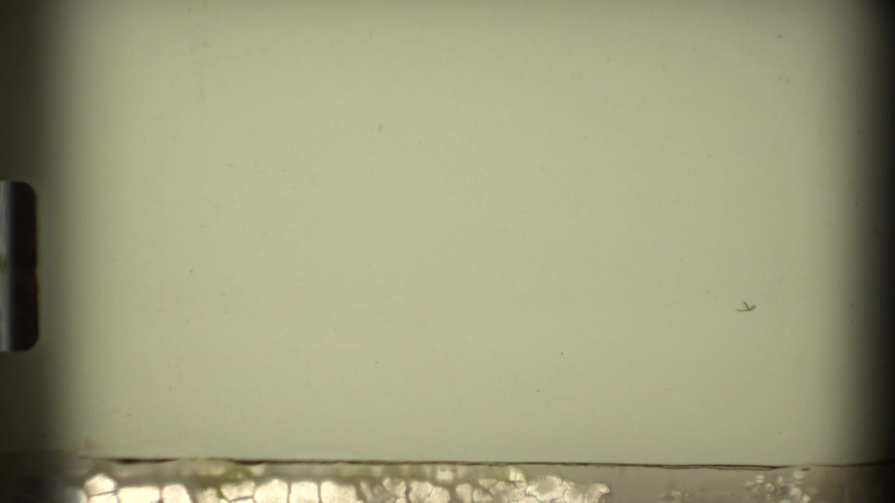 Mostly pale exposed frame area with dark film edge and sprocket-like border.