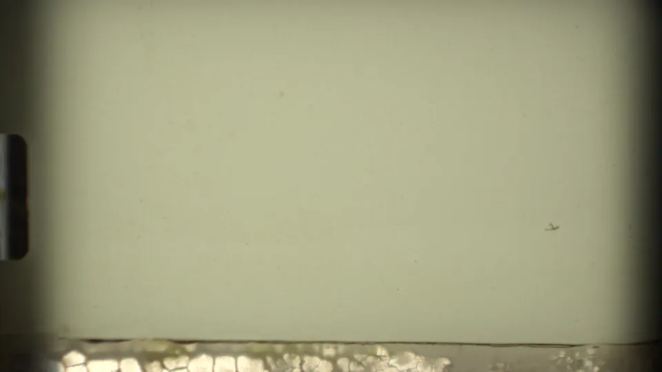 Overexposed or transitional 8mm frame with pale field, dark gate edge, and visible film handling marks.