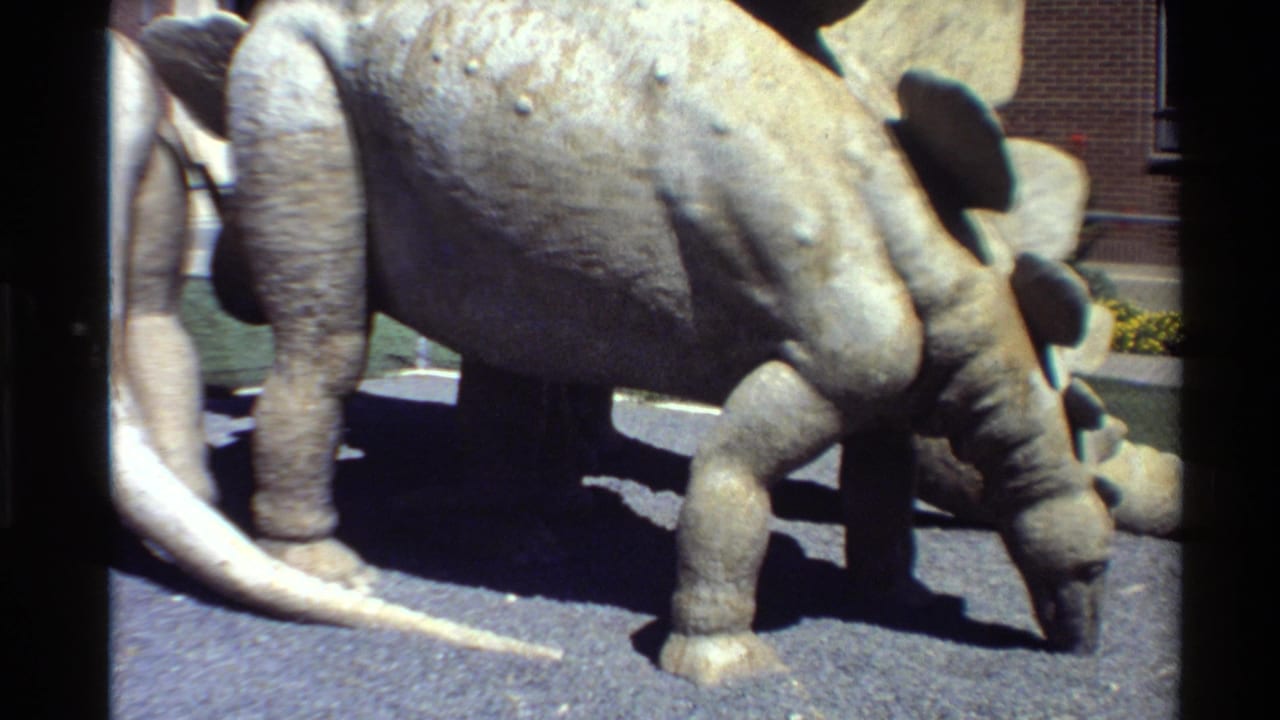 Sunlit 8mm view of a gray Stegosaurus-like outdoor exhibit model, with a pale dinosaur tail entering from the left.