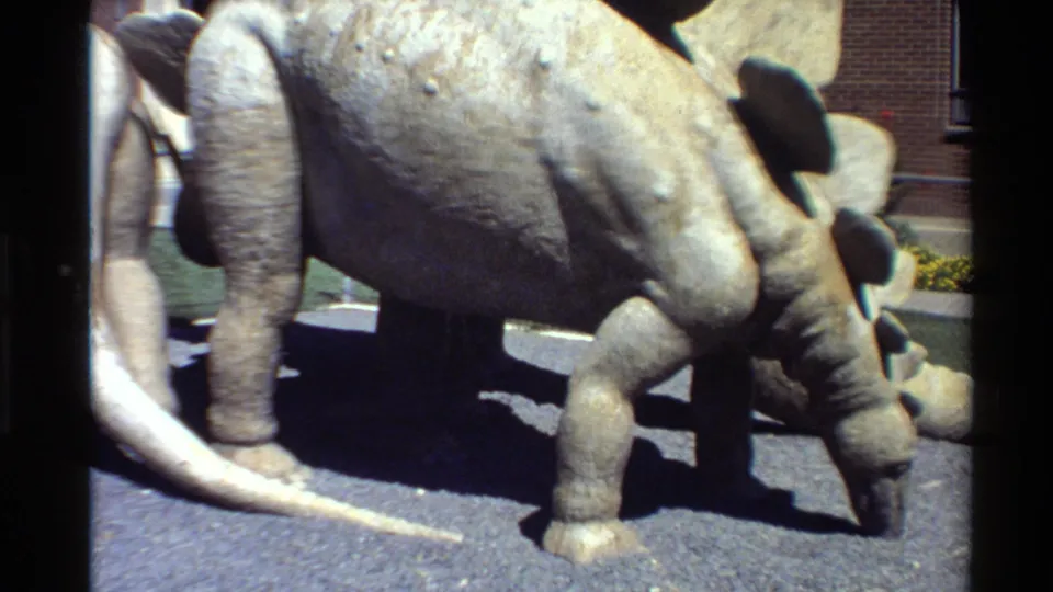 Sunlit 8mm view of a gray Stegosaurus-like outdoor exhibit model, with a pale dinosaur tail entering from the left.