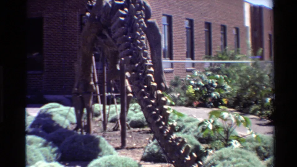 1980s United States home-movie frame of a dinosaur skeleton display with metal supports, shrubs, windows, and a red brick building.
