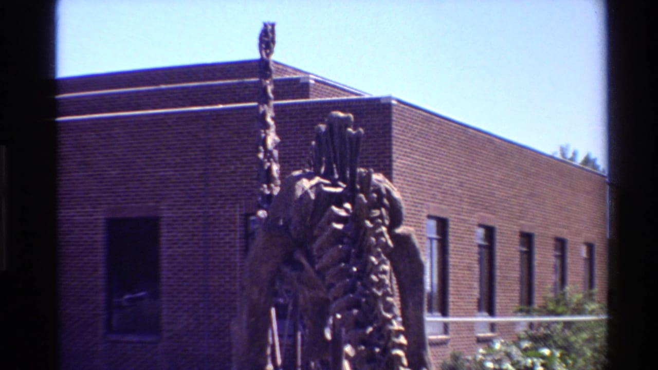Close view of a dinosaur skeleton display against a brick building and sky.