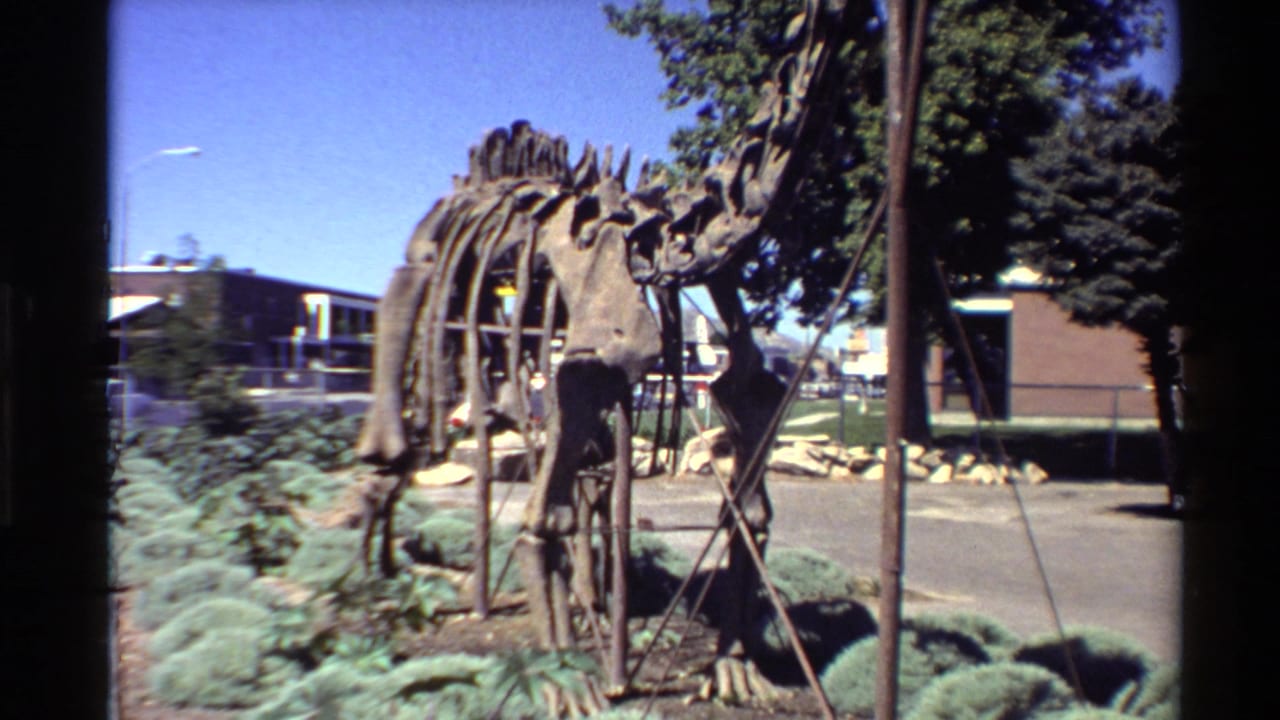 Dinosaur skeleton model centered outdoors with metal braces, shrubs, trees, and a paved area nearby.