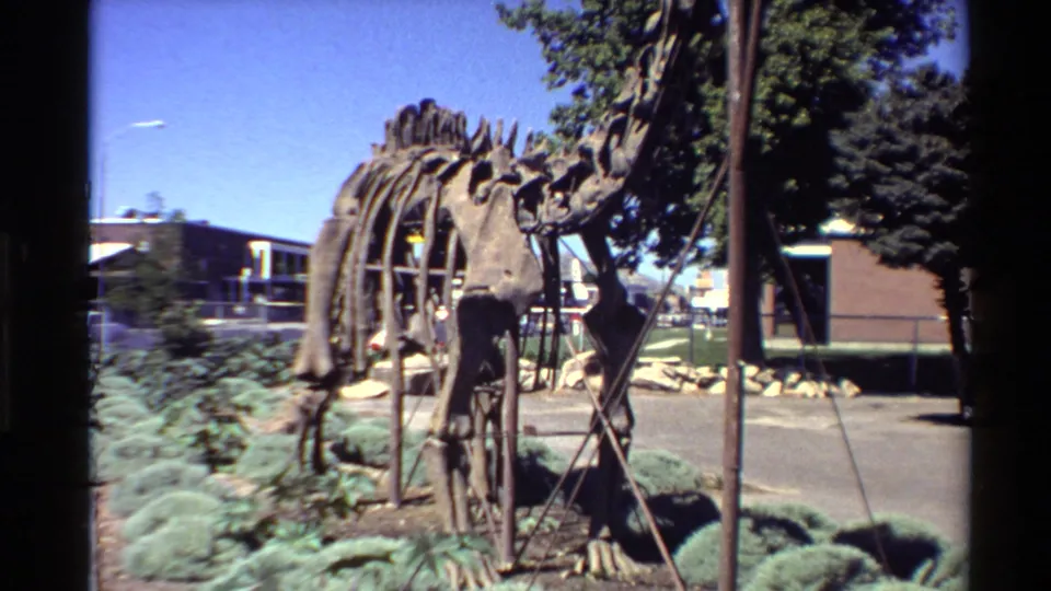 Outdoor dinosaur skeleton display in a 1980 Western U.S. home-movie frame, with vertebrae, rib cage, metal bracing, shrubs, and buildings visible.