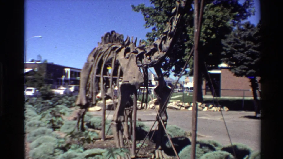 The home-movie frame holds on the outdoor dinosaur skeleton model, showing its rib cage, legs, metal supports, shrubs, and nearby low buildings.