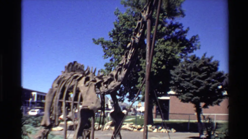 Final 1980 Western U.S. frame showing the dinosaur skeleton model from below, its long neck extending upward near trees and a clear sky.