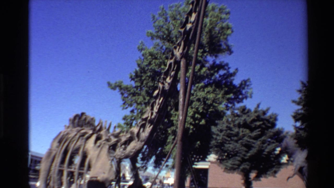 1980s Western U.S. 8mm frame showing a long-neck dinosaur skeleton display with trees and a brick building in the background.