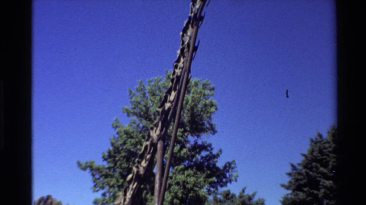 Tall fossil neck rises against blue sky with trees and dark film borders nearby.