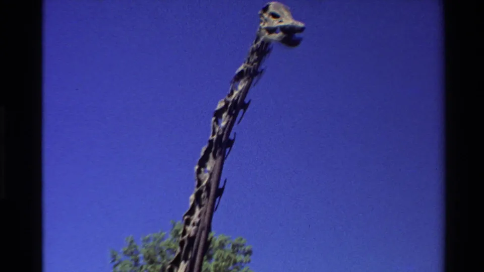 1980s home-movie frame of a dinosaur skull and long neck silhouetted against open blue sky above trees.