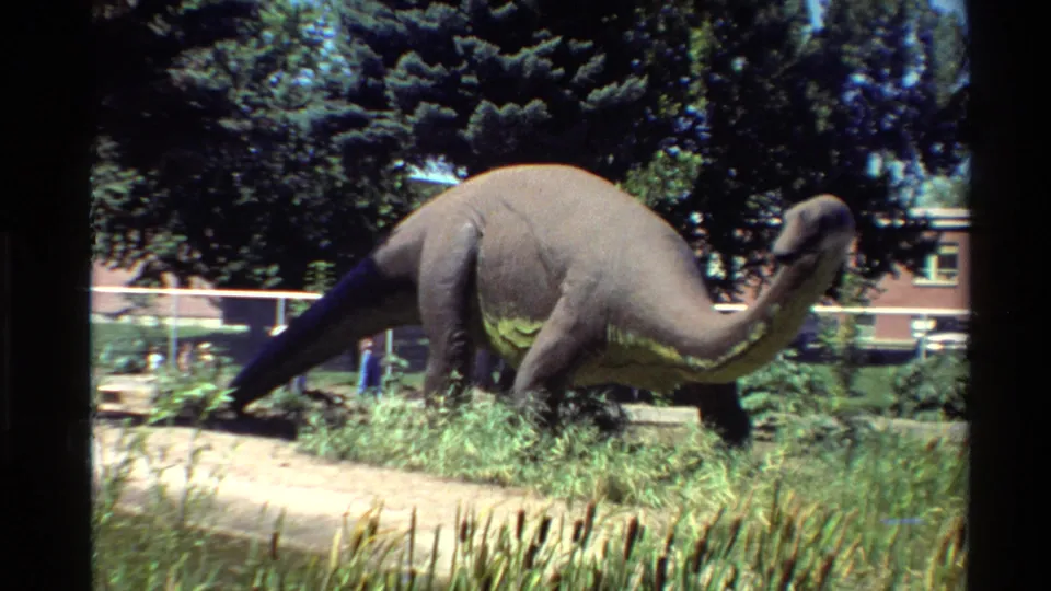 1980 United States 8mm frame showing a sauropod-like dinosaur model in a landscaped outdoor exhibit with fencing and a brick building in the background.