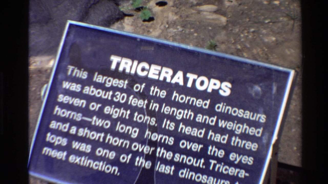 1980s 8mm close-up of a blue Triceratops exhibit plaque on the ground near rocks and sparse plants in the United States.