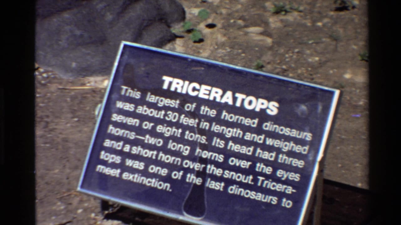 Blue Triceratops plaque tilted in frame with rocks and dirt visible behind it.