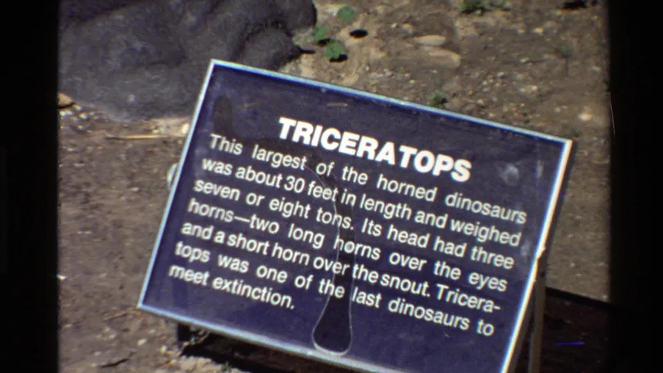 A grainy 1980s 8mm frame shows the Triceratops plaque filling the view, bordered by dirt, rocks, and sparse planting.