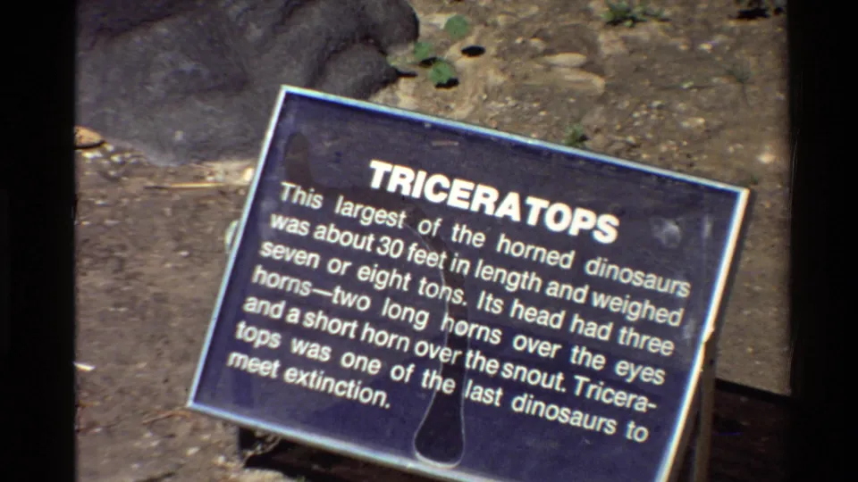 Final 8mm frame of the angled blue Triceratops plaque, with surrounding rocks, soil, and small plants still visible.