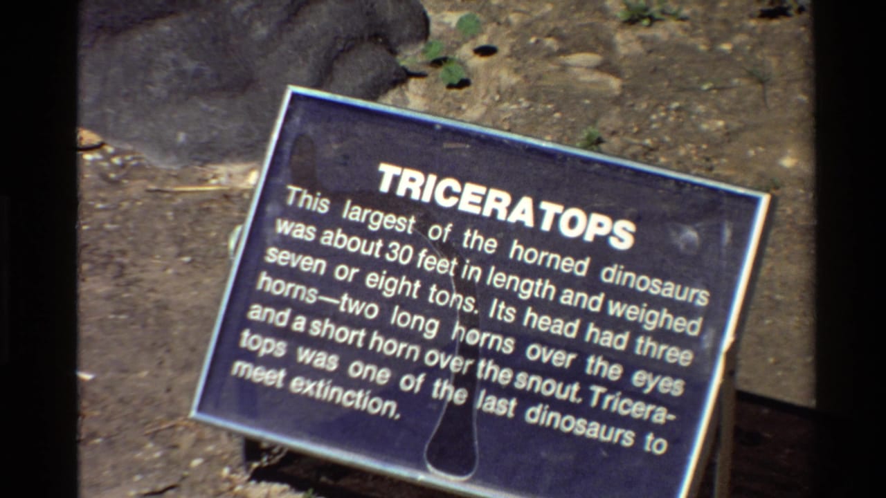 1980s 8mm frame of a blue outdoor Triceratops placard with white text, dirt ground, rocks, and small plants visible around it.