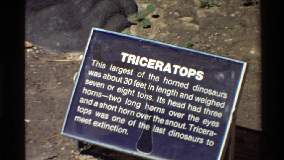 1980s 8mm frame of a blue outdoor Triceratops placard with white text, dirt ground, rocks, and small plants visible around it.