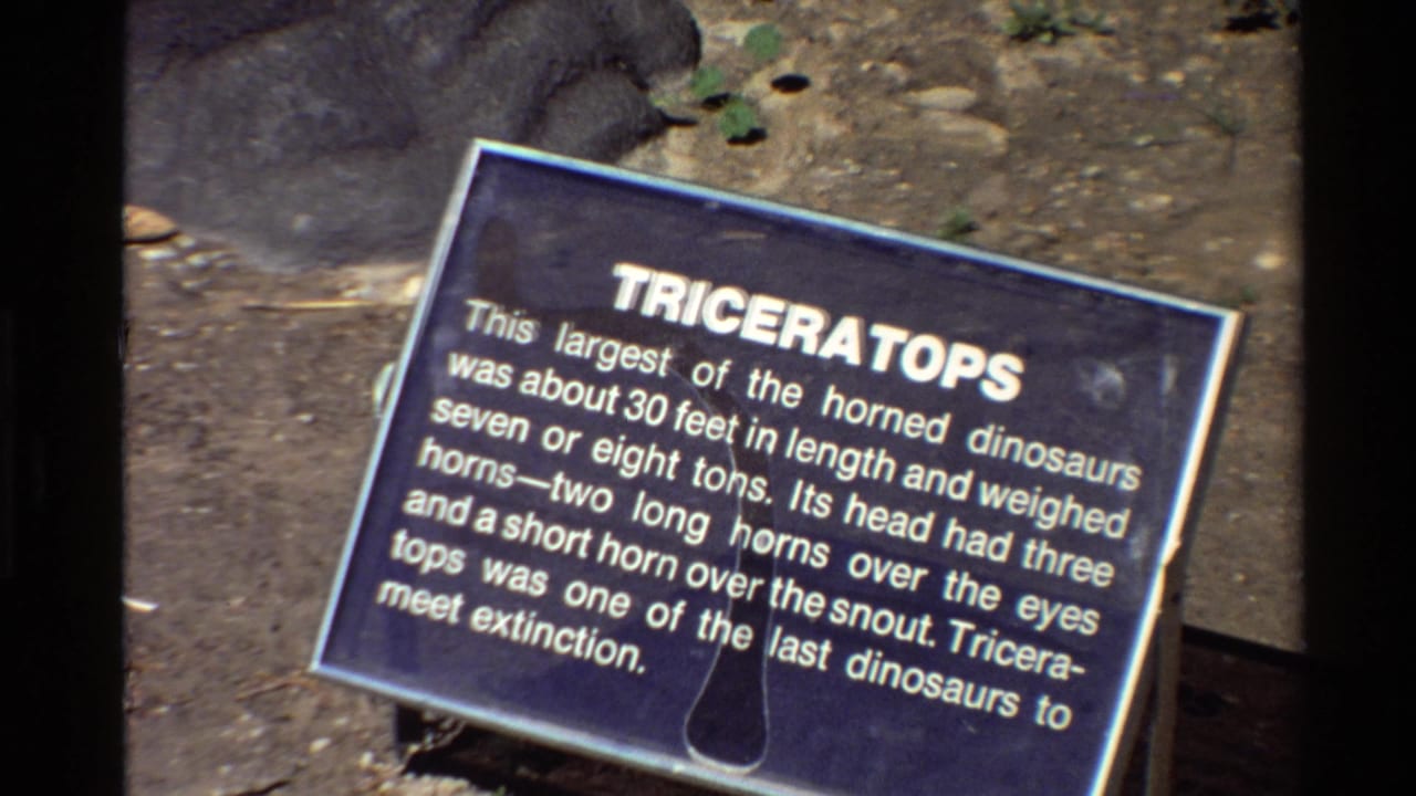 Close 8mm view of a tilted blue Triceratops informational sign outdoors, with dirt, rocks, plants, and dark frame edges visible.