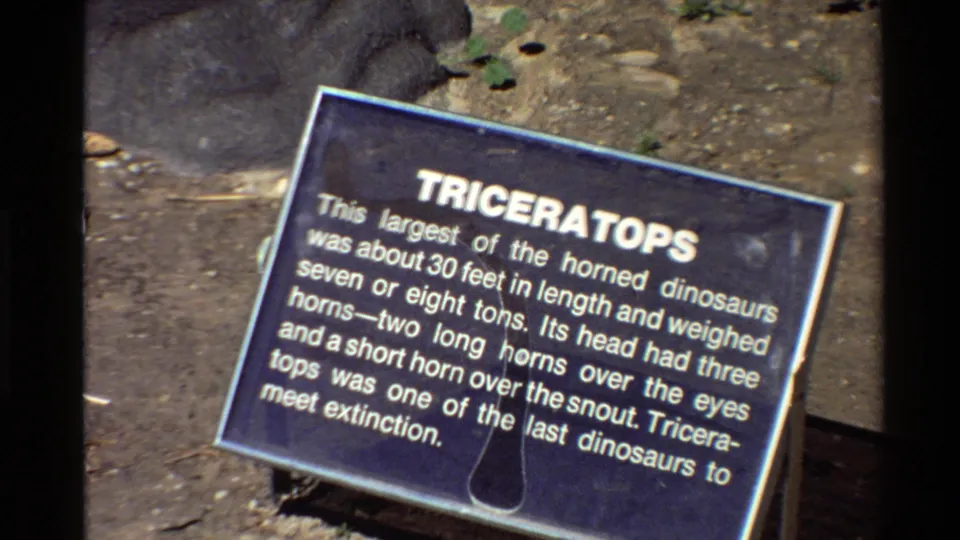 Visitor-shot 8mm frame of a Triceratops exhibit sign, with readable white text and outdoor ground details around the placard.