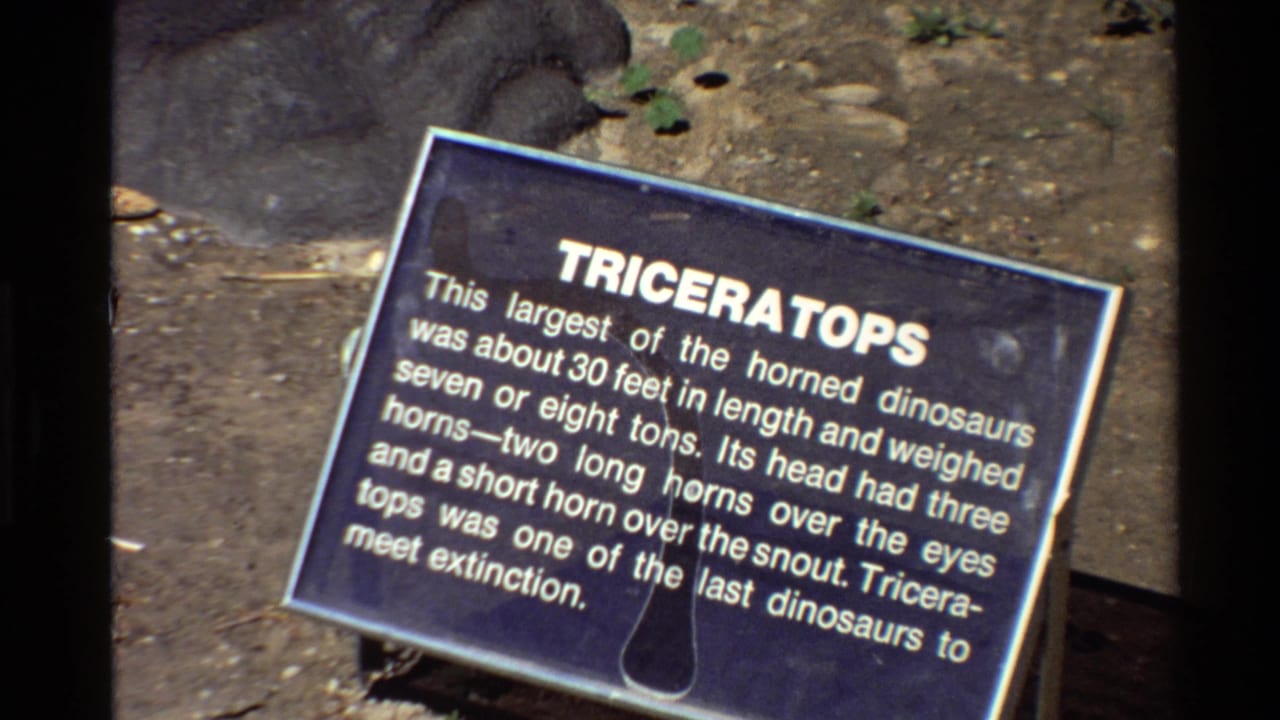 Close view of a blue Triceratops information sign in an outdoor exhibit area, filmed on 8mm home-movie footage from the 1980s United States.