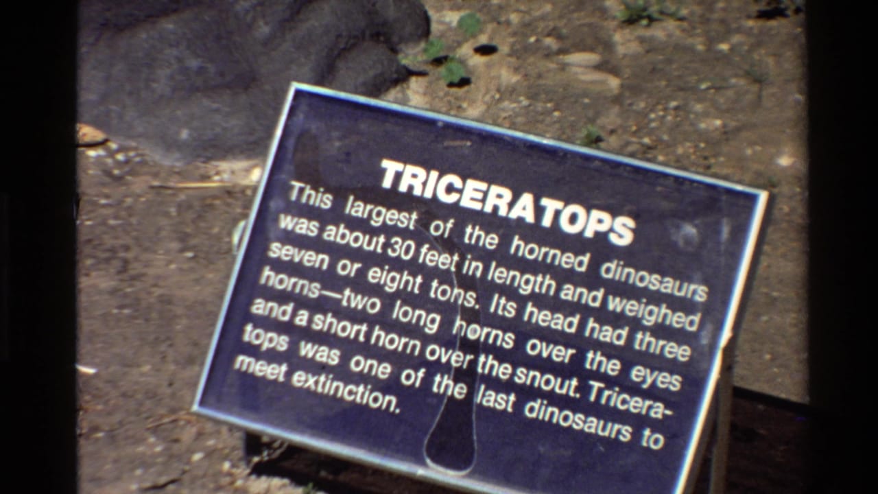 Tilted Triceratops information sign with white text in an outdoor display.