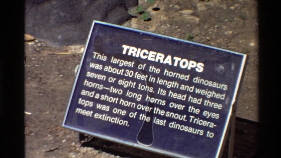 The blue sign describes the Triceratops, shown in a handheld 8mm close-up with exhibit ground and plants at the edges.