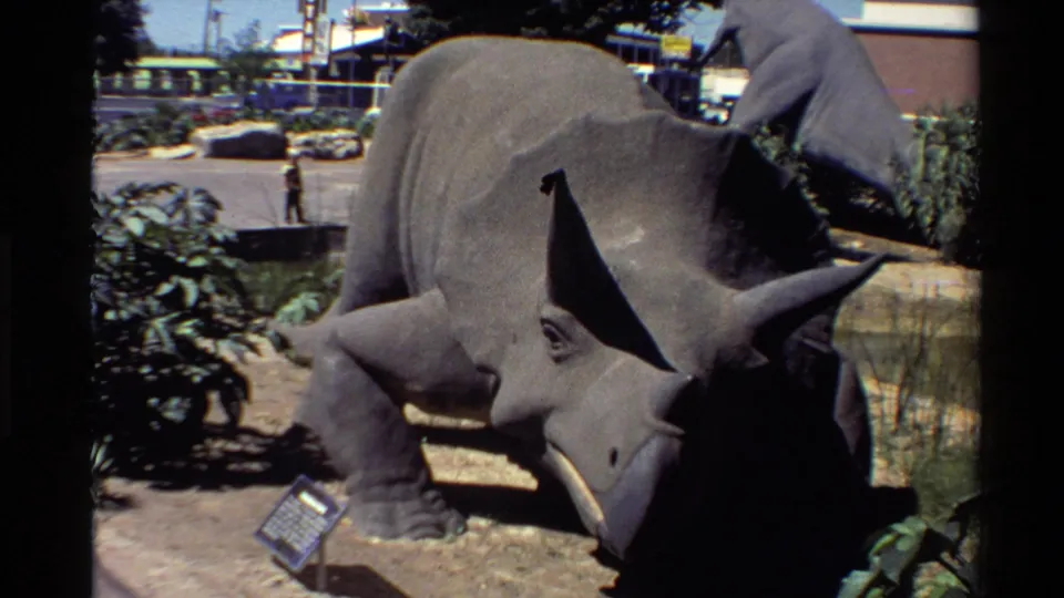 A gray Triceratops statue stands in an outdoor exhibit area with plants, a small placard, parked cars, and a distant visitor visible.