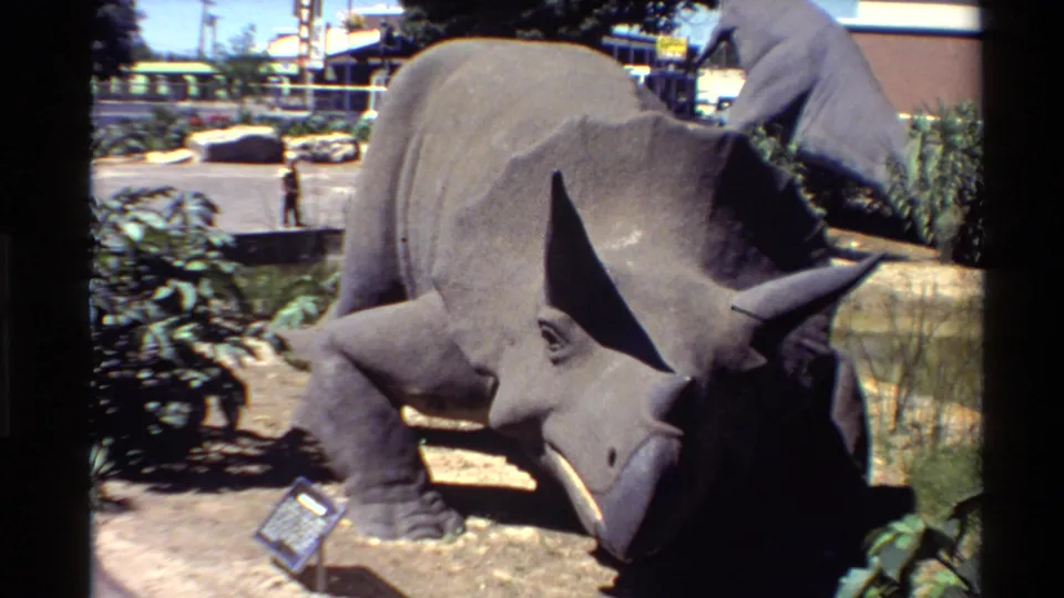 1980 U.S. 8mm frame of a gray triceratops display in bright sun, with foliage, a sign, parked-area pavement, and buildings behind.