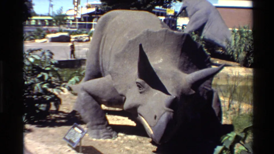 1980 U.S. 8mm frame showing the triceratops statue from slightly lower framing, with a display sign, dirt ground, plants, and distant walkway.