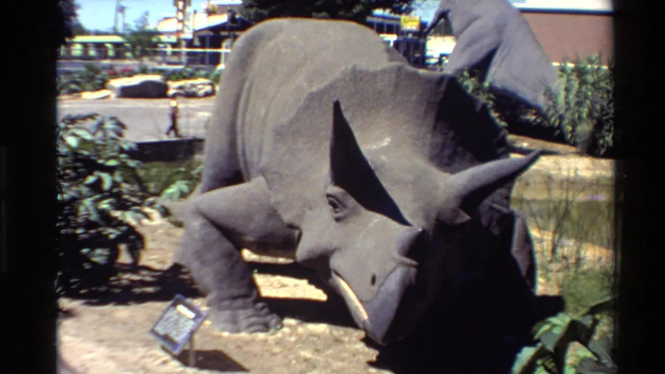 1980 U.S. 8mm frame of the gray triceratops model outdoors, framed by foliage with a small sign and background parking-area view.