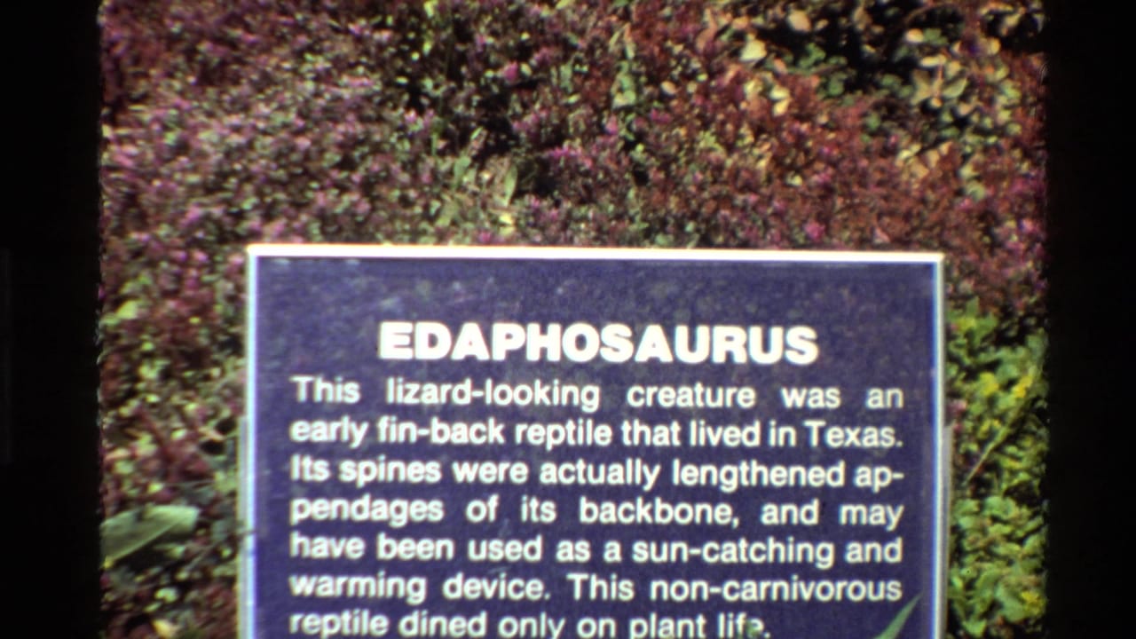 1980 Western USA 8mm frame showing a blue Edaphosaurus exhibit sign with white text and leafy purple-green background.