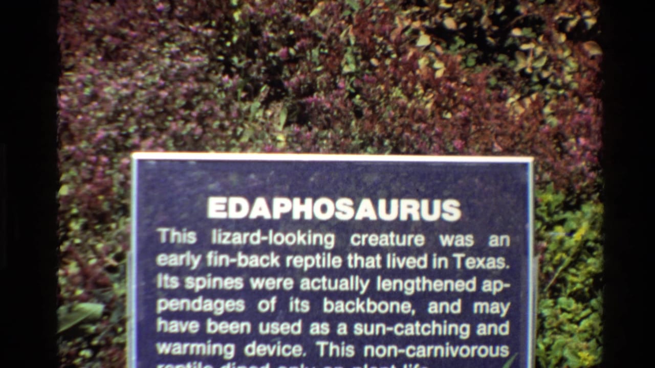 Edaphosaurus sign with white text, slightly shifted in frame.