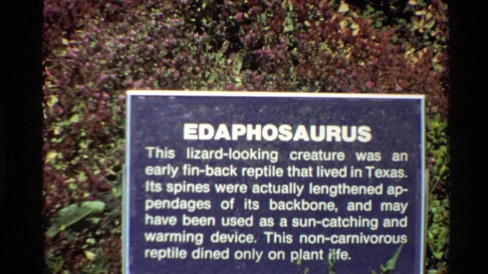 1980 home-movie frame showing the Edaphosaurus sign more clearly, including its white explanatory text and surrounding plants.