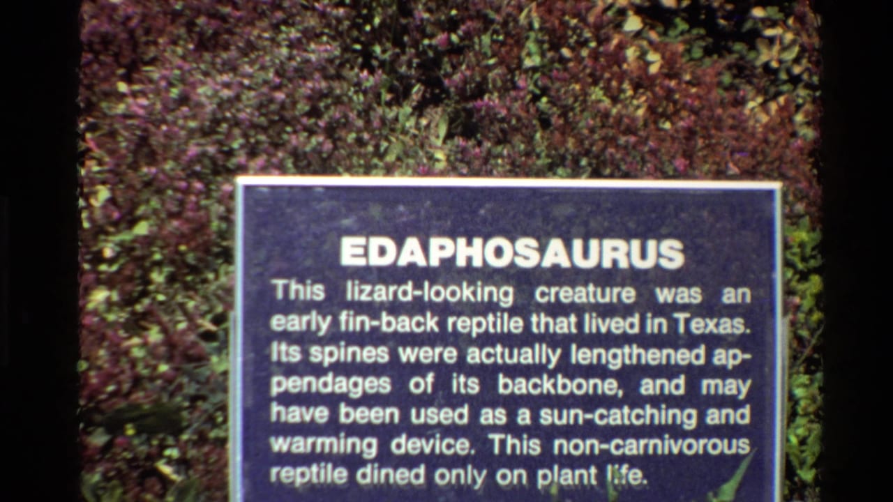 1980 home-movie frame showing a blue Edaphosaurus information plaque with white text in front of dense foliage.