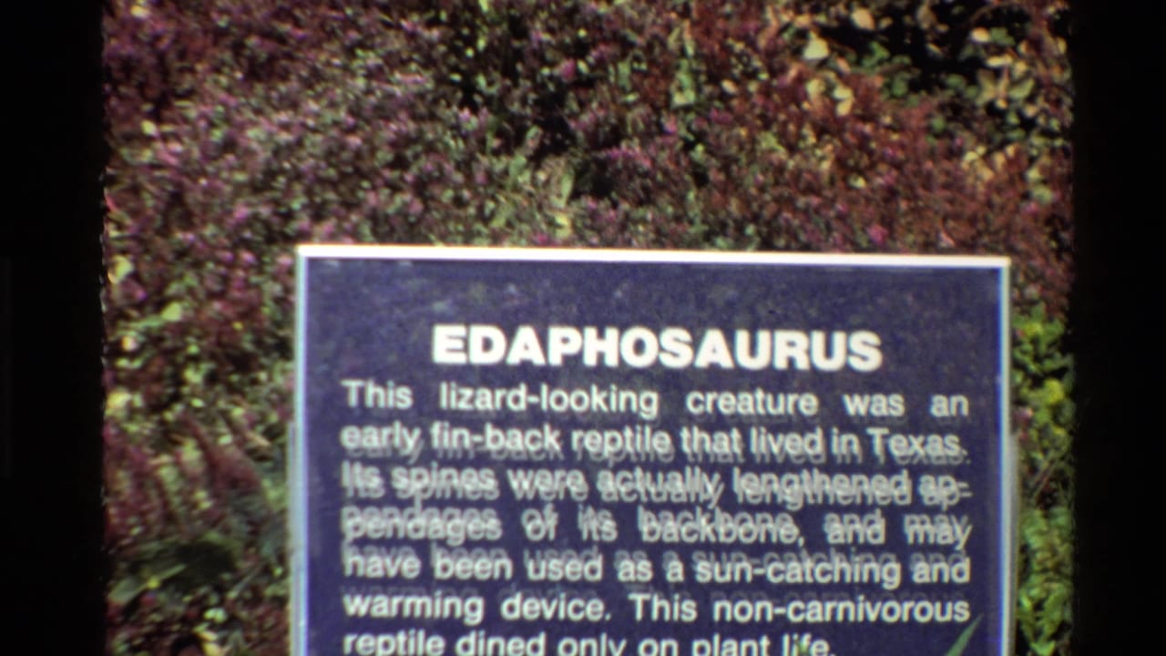 Edaphosaurus plaque partly cropped, with foliage behind it.