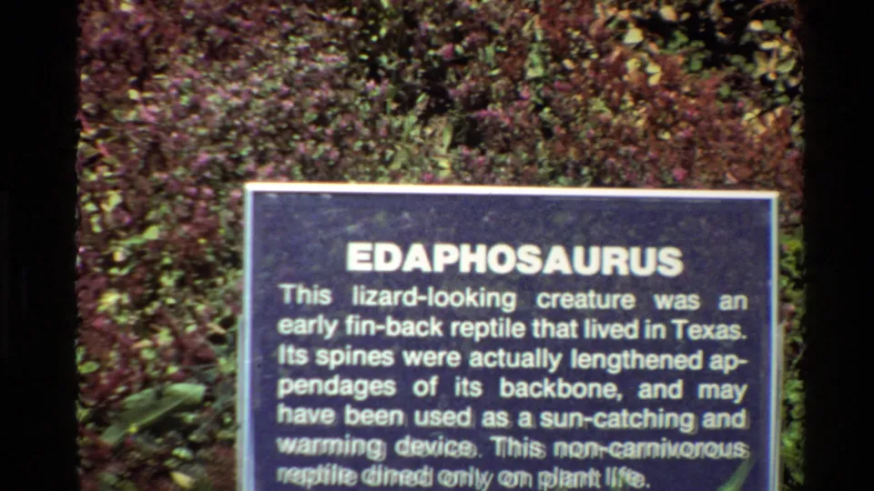 Steady 8mm frame of the Edaphosaurus exhibit sign, centered with readable text and dense foliage behind it.