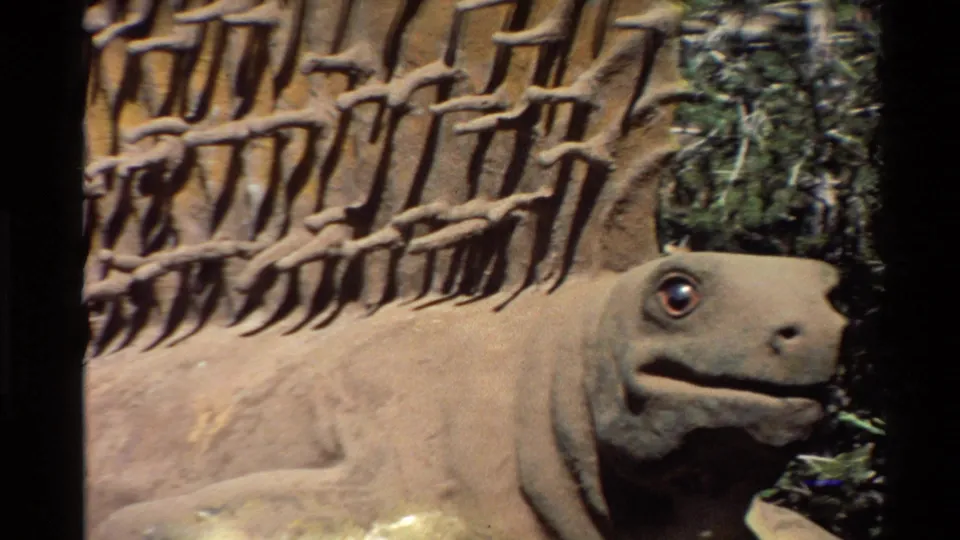 1980 United States 8mm frame with the reptile model's body and head framed below a raised, textured back and exhibit wall.