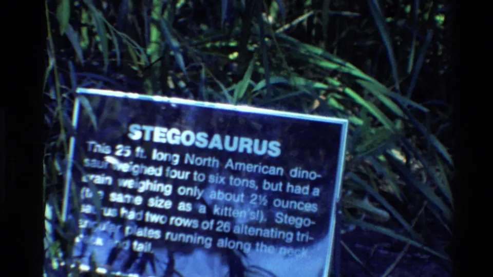 A dark informational sign headed Stegosaurus appears among dense plants, with white text describing the dinosaur.